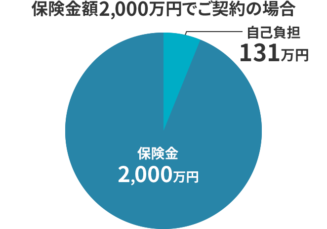 保険金額2,000万円でご契約の場合　自己負担131万円　保険金2,000万円