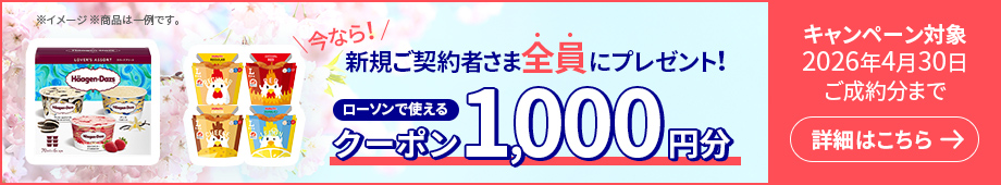 今なら！新規ご契約者さま全員にプレゼント！ ローソンで使えるクーポン1,000円分 キャンペーン対象 2026年4月30日ご成約分まで 詳細はこちら