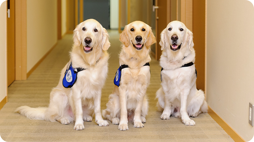 アクサ損害保険20周年記念チャリティラン 開催決定!