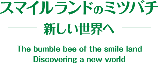 スマイルランドのミツバチ 新しい世界へ The bumble bee of the smile land Discovering a new world