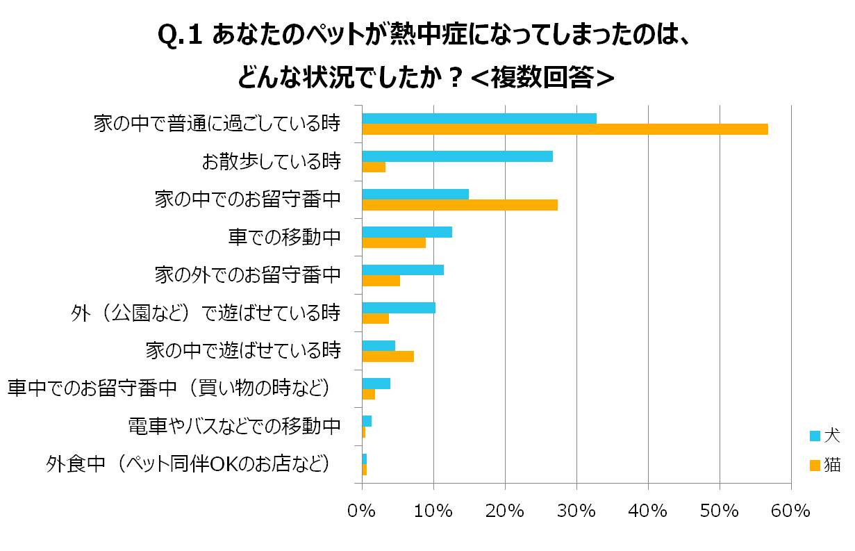 あなたのペットが熱中症になってしまったのはどんな状況でしたか?