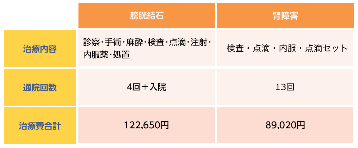 膀胱結石と腎障害の治療内容比較