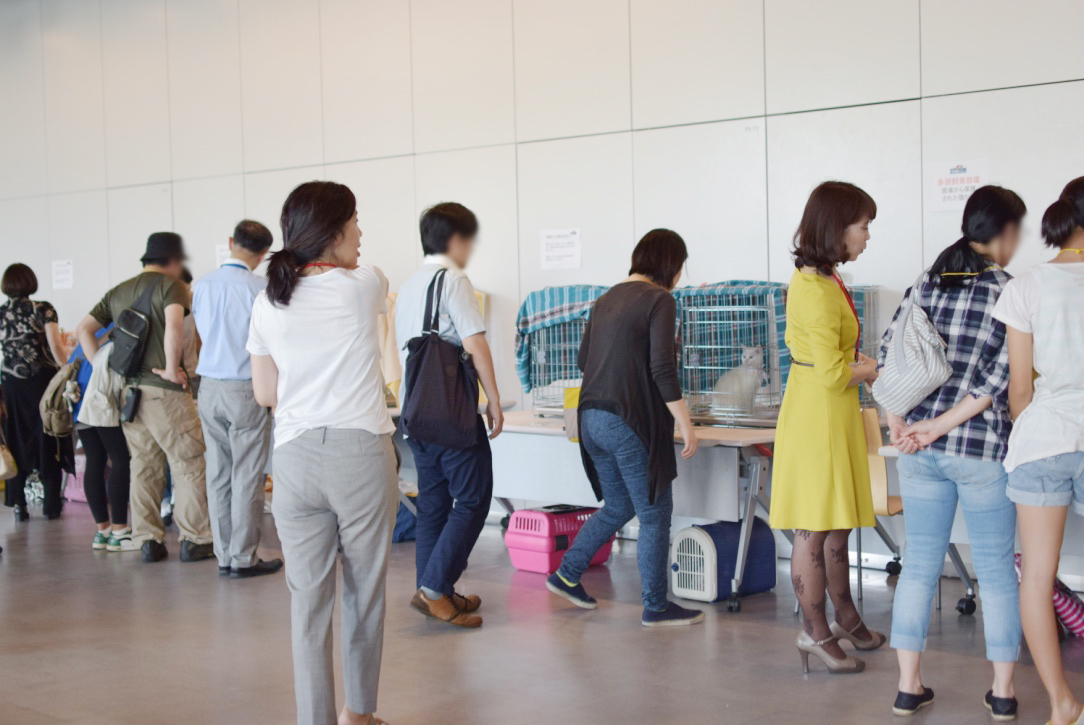 譲渡会の会場に集まった大勢の里親希望の皆さま