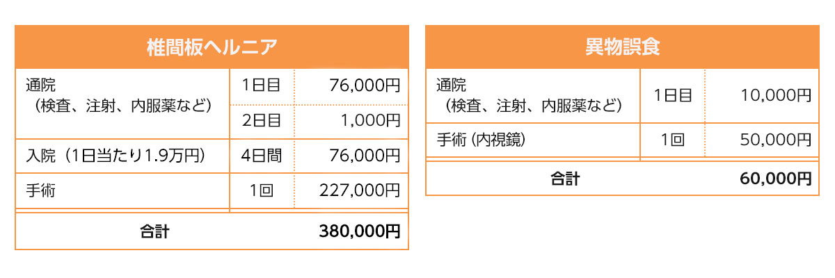 椎間板ヘルニアと異物誤食の治療費内訳