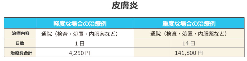 皮膚炎の治療費参考事例