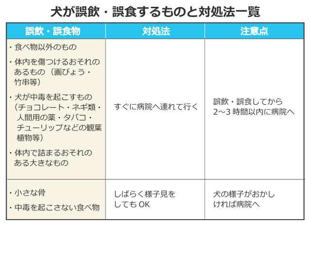 犬が誤飲・誤食するものと対処法一覧。
