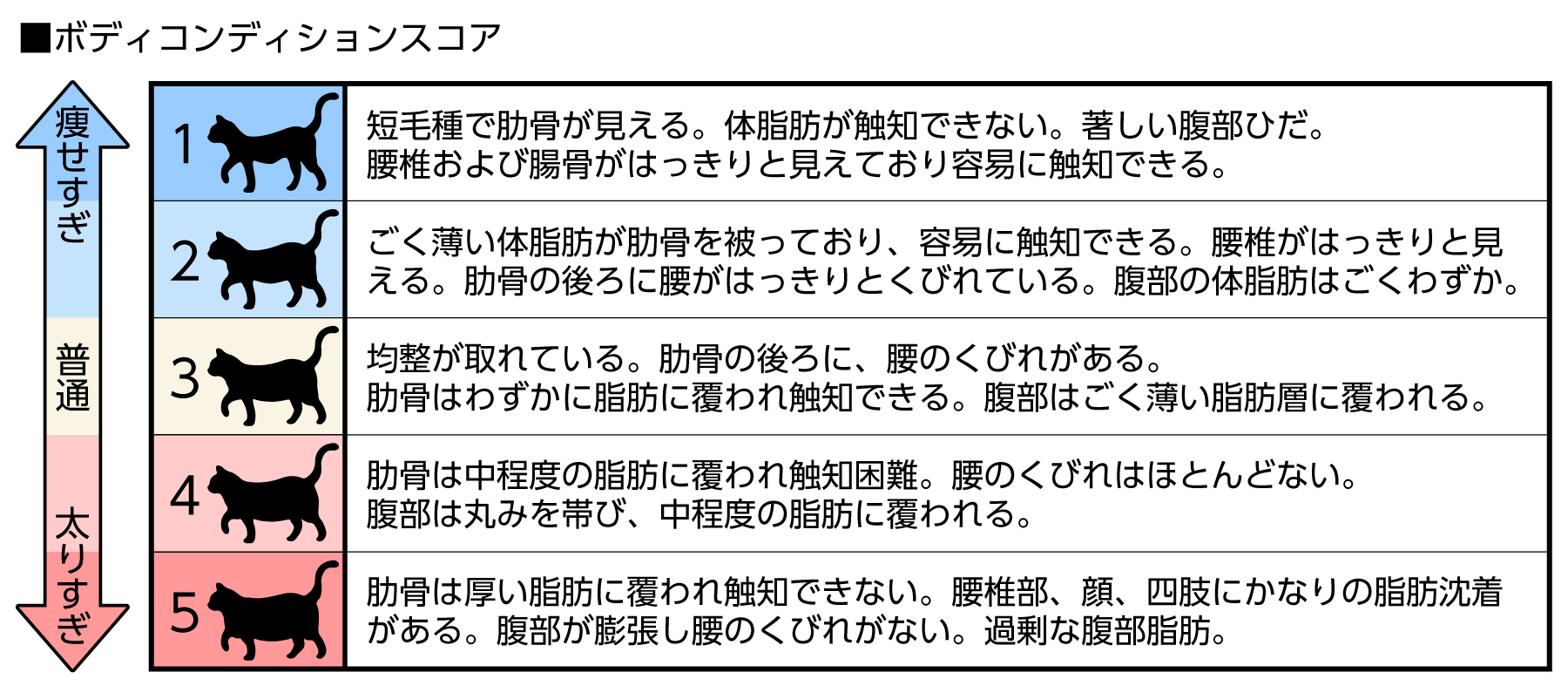 ボディコンディションスコア