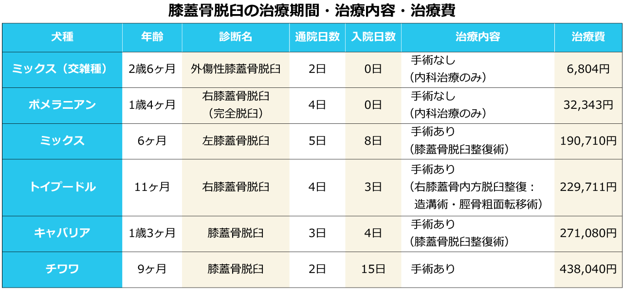 膝蓋骨脱臼の治療期間・治療内容・治療費