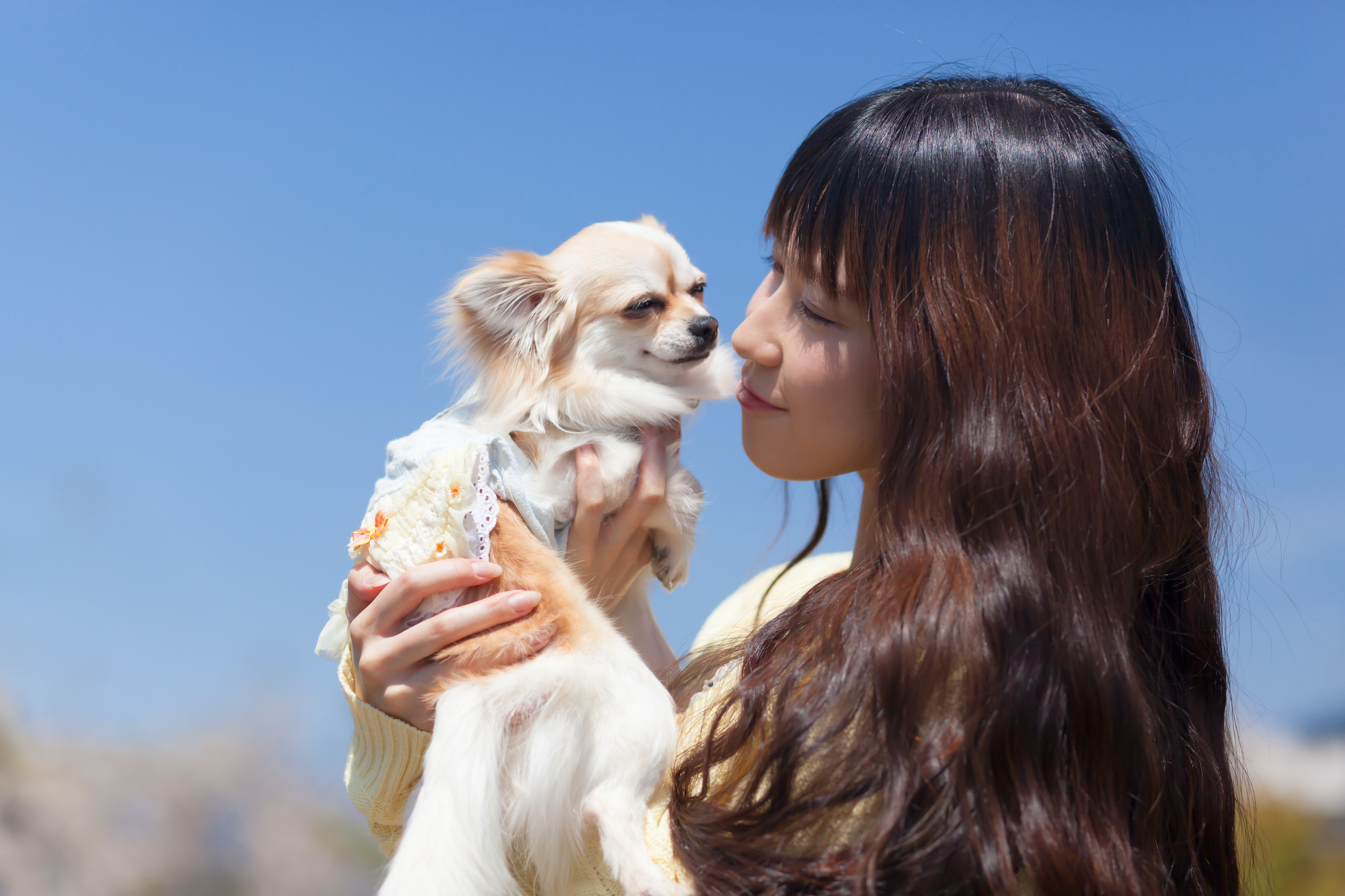 狂犬病は、すべての哺乳類に感染する「人獣共通感染症」です。