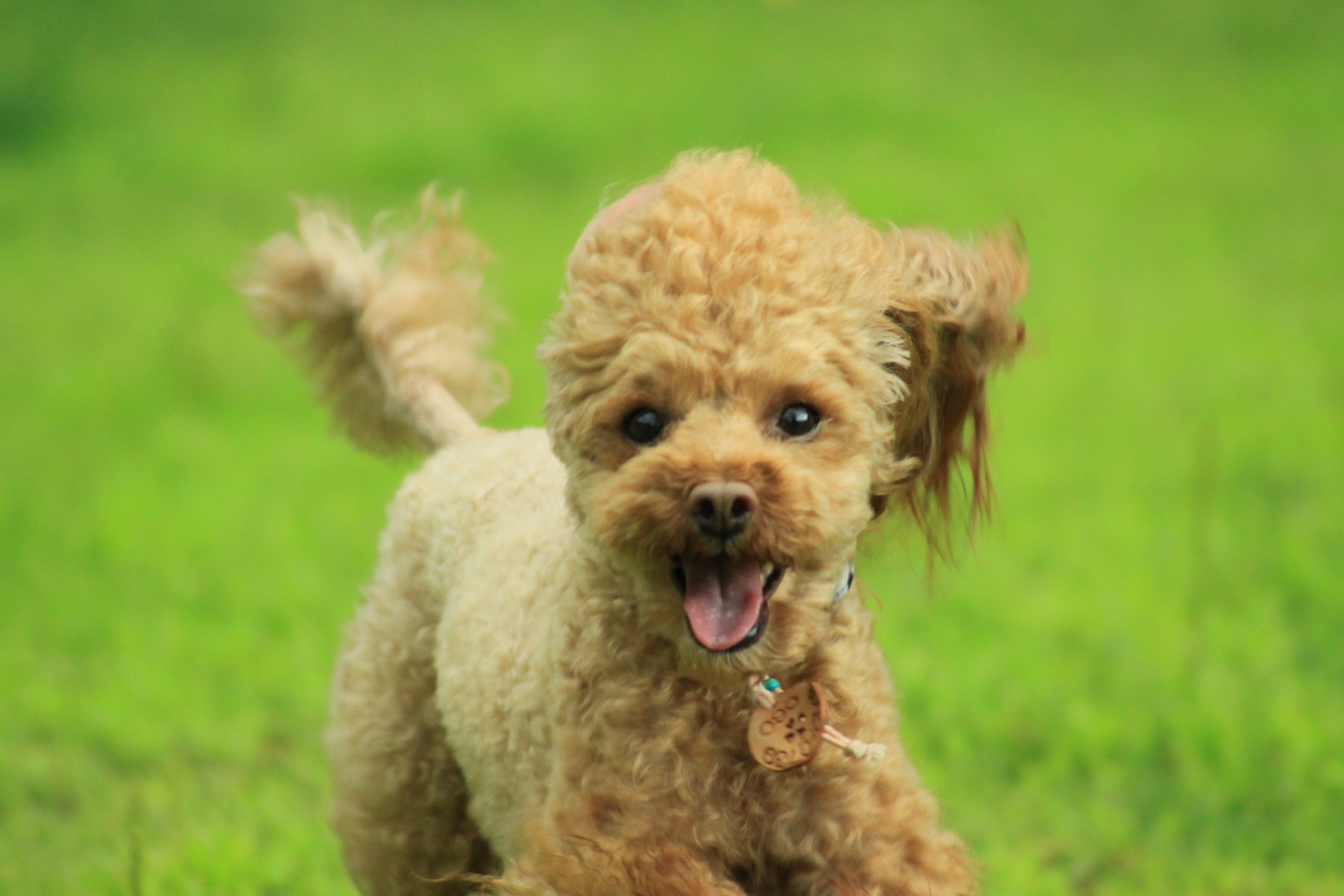カットのスタイルで、印象がガラリと変わります。
