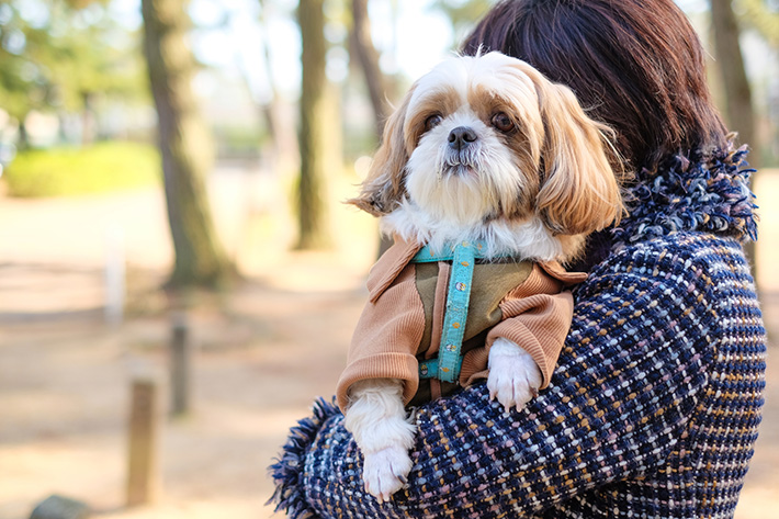飼い主さんの健康状態によっては、ペットを飼育することが難しくなるかもしれません。