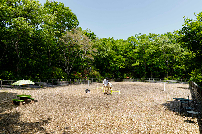 庭から外に行き来できて愛犬もストレスフリー