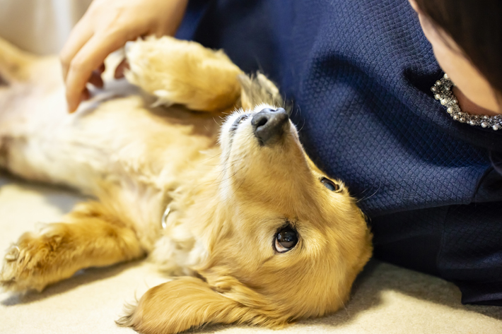 体を触って、健康なリンパ節の状態を知っておきましょう