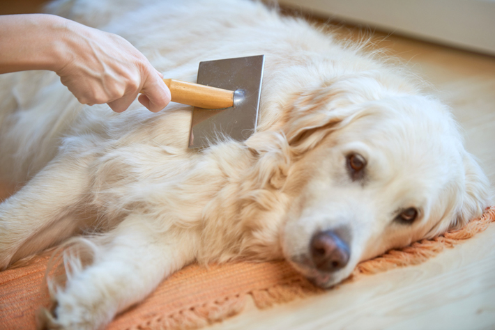 洗いすぎや、肌の状態に合わないシャンプーの使用に注意しましょう。