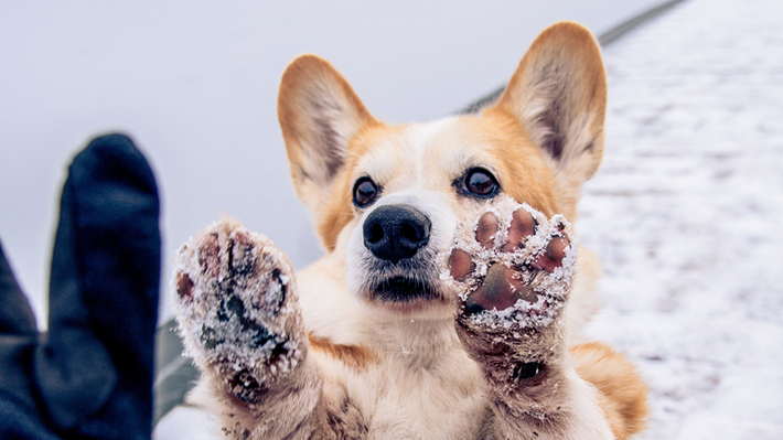 雪遊びをするなら、時折休憩して体を温めましょう。