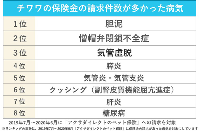 チワワの保険金の請求件数が多かった病気 1位胆泥/2位僧帽弁閉鎖不全症/3位気管虚脱/4位膵炎/5位気管炎・気管支炎/6位クッシング（副腎皮質機能屈亢進症）/7位肝炎/8位糖尿病　2019年7月〜2020年6月に「アクサダイレクトのペット保険」への請求を対象 ※ランキングの集計は、2019年7月〜2020年6月「アクサダイレクトのペット保険」に保険金の請求があった病気を対象にしています