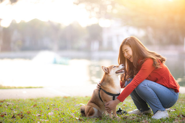 大好きな飼い主さんと遊んでいるときはとっても幸せ。短時間でも毎日遊べば、たっぷり愛情が伝わります。