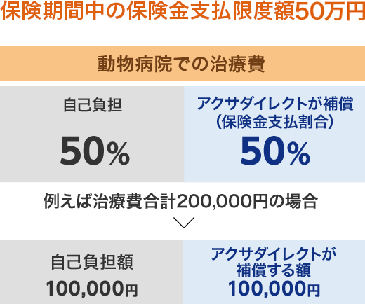 یԒ̕یxxz50~@a@ł̎Ô@ȕS50% ANT_CNg⏞iیxj50%@ႦΎÔv200,000~̏ꍇ@ȕSz100,000~ ANT_CNg⏞z100,000~